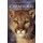 Carnivores of British Columbia (Paperback): David F. Hatler, David W. Nagorsen, Alison M. Beal