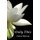 Only This (Paperback): Fawn D Moran