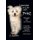 Learning to Live with Fritz - Disgruntled Angel in a Hairy Disguise (Hardcover): E. Rawlins
