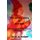 The entire story of biri jeet (Paperback): E a Halper