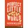 Perfect Little World (Large print, Paperback, Large type / large print edition): Kevin Wilson
