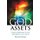 The God Assets - God's Investment in You and What to do With It (Paperback): Nicole Kirksey
