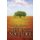 Step into Nature - Nurturing Imagination and Spirit in Everyday Life (Paperback): Patrice Vecchione