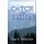 Catch the Vision (Paperback): Stan Dekoven