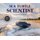 Sea Turtle Scientist (Paperback): Stephen R Swinburne