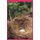 Judgement Day - A book of choices (Paperback): Graham Rawlinson