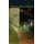 Monticello in Mind - Fifty Contemporary Poems on Jefferson (Hardcover): Lisa Russ Spaar