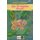 Liza, la mariposa dorada (Spanish, Paperback): Alejandra Romero