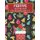 Festive Coloring Book for children ages 3-5 - Fun coloring activity book for kids - Ready-to-color arts and illustration -...