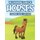 The Fascinating World Of Horses Coloring Book For Kids - Horse Designs And Illustrations To Trace And Color, Lovely Coloring...