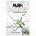 Air Plants Gardening and Care - Complete Guide to Growing Tillandsias and the Amazing Benefits of Air Plants (Paperback): Eric...
