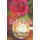 Cafe Latte (Paperback): M. L Hamilton