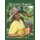 Beyond Organic - Growing for Maximum Nutrition and Flavor (Paperback): Frederick Kennedy