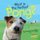 What is the Perfect Pong? (Paperback): Martin Gurdon, Eleanor Bentall