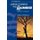 Limping towards the Sunrise - Sermons in Season (Paperback): Richard Holloway