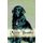Mister Buddha (Hardcover): Mary Langford