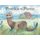 Frankie the Ferret (Paperback): Kimberley Paterson