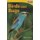 Birds and Bugs (Paperback, 2nd edition): Sharon Coan