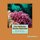 The Coldwater Marine Aquarium - Biogeography, Ecology & Husbandry (Paperback): Kenneth Wingerter