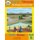 Bilingual Sentence Book: Farm English-Tshivenda (Paperback): Isaac Saki Shabangu/ Dawn Shabangu-Rikhotso