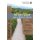Wiersbe Bible Studies: Ecclesiastes - Looking for the Answer to the Meaning of Life (Paperback): Warren Wiersbe