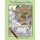 The Garden of Eden - Adult Coloring Book (Paperback): Natalie J Totire