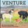 Venture, Horse of Dreams (Paperback): Juliana Hutchings