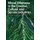Ethical Dilemmas in the Creative, Cultural and Service Industries (Paperback): Johan Bouwer