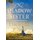 The Shadow Sister (Paperback): Lucinda Riley