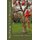 Low Hanging Fruit - A Job Easy Book Volume XI (Paperback): Rex D. Savage
