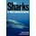 Sharks of North American Waters (Paperback): Castro