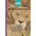 Vuma English First Additional Language: Level 8 Book 6 Reader - The lion and the mouse (Paperback): W. Hartmann