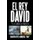 El Rey David - Y la sandalia magica (Spanish, Paperback): Martin Reyes Armenta "Fray"