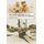 Nazi Empire-Building and the Holocaust in Ukraine (Paperback, New edition): Wendy Lower