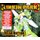 Linkin Park - Reanimation (CD): Linkin Park