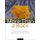 More Than a Rock (Hardcover, 2nd Revised edition): Guy Tal