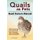 Quails as Pets. Quail Owners Manual. Quail keeping pros and cons, care, housing, diet and health. (Paperback): Roger Rodendale