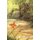Our Gonce Ancestors (Paperback): Frank Oberle
