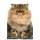 Persian Cat Affirmations Workbook Persian Cat Presents - Positive and Loving Affirmations Workbook. Includes: Mentoring...