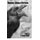 Nevermore; Alchemy of the Raven (Paperback): C. Theodore Walker