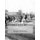 Horses and Riding (Paperback): Jackson Chambers