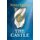 The Castle (Paperback): Nikki  Moyes