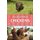 Chickens (Paperback): M/N Martinez