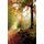 Trail Through the Wood - Some Trails Are Single Use and Can Only Be Used for Walking, Cycling, Horse Riding, Snowshoeing, or...
