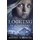 Looking for Lainey (Paperback): Kristen Middleton