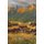 Utah Kel (Paperback): Vaughn E Silcox