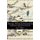 Marriage, Writing, and Romanticism - Wordsworth and Austen After War (Paperback): Eric C. Walker
