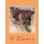 Practical Tips for Adopting a Shelter Cat (Paperback): D. A. Zjawin