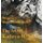 Shimmers, Shadows, And Shells The Art of Kathryn M. Niles (Hardcover): Kathryn M Niles
