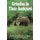 Grizzlies in Their Backyard (Paperback): Beth Day, Beth Day Romulo